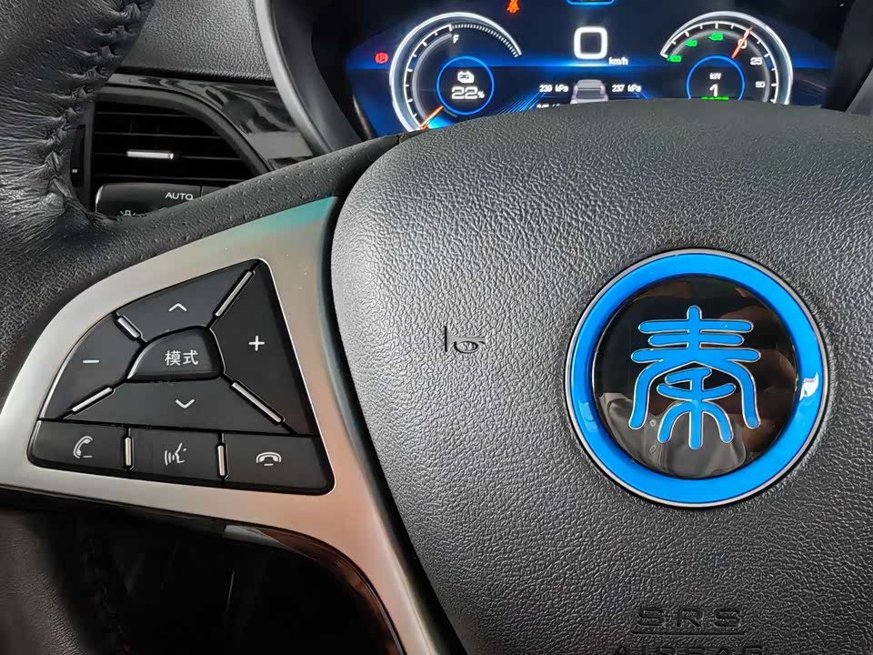 BYD Qinxin Energy