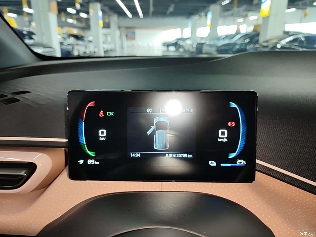 BYD Seagull, 2024 12