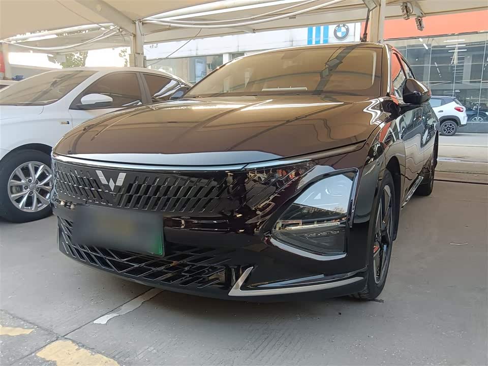 Wuling Wuling Starlight