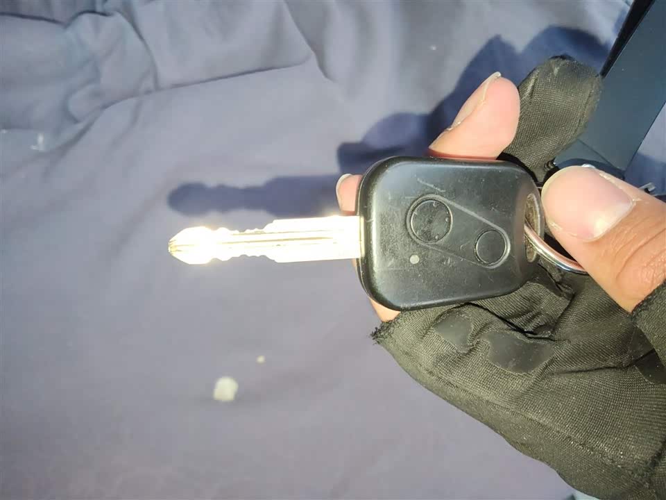 Jinbei Little Sea Lion X30