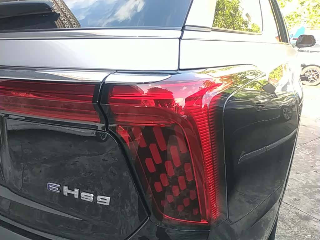 Hongqi E-HS9, 2022 8