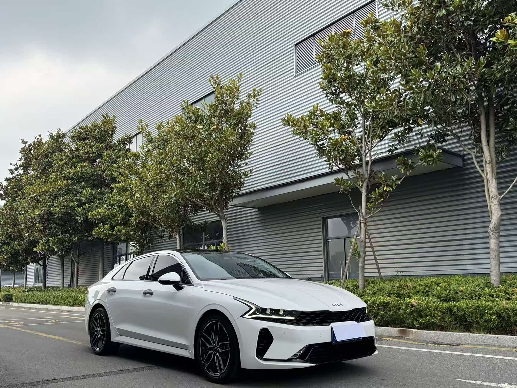 Kia K5, 2022 3