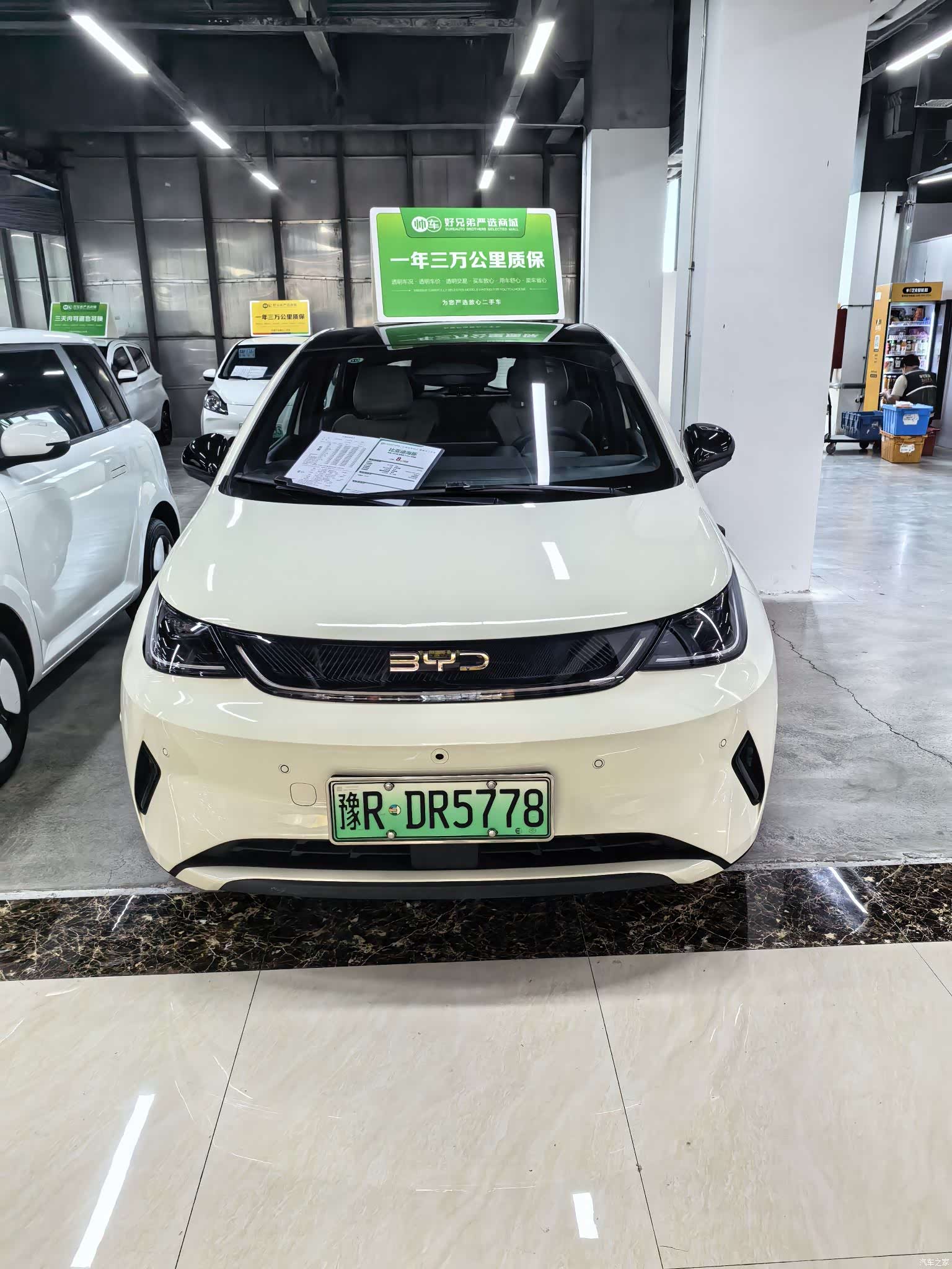 BYD Dolphin, 2025 2