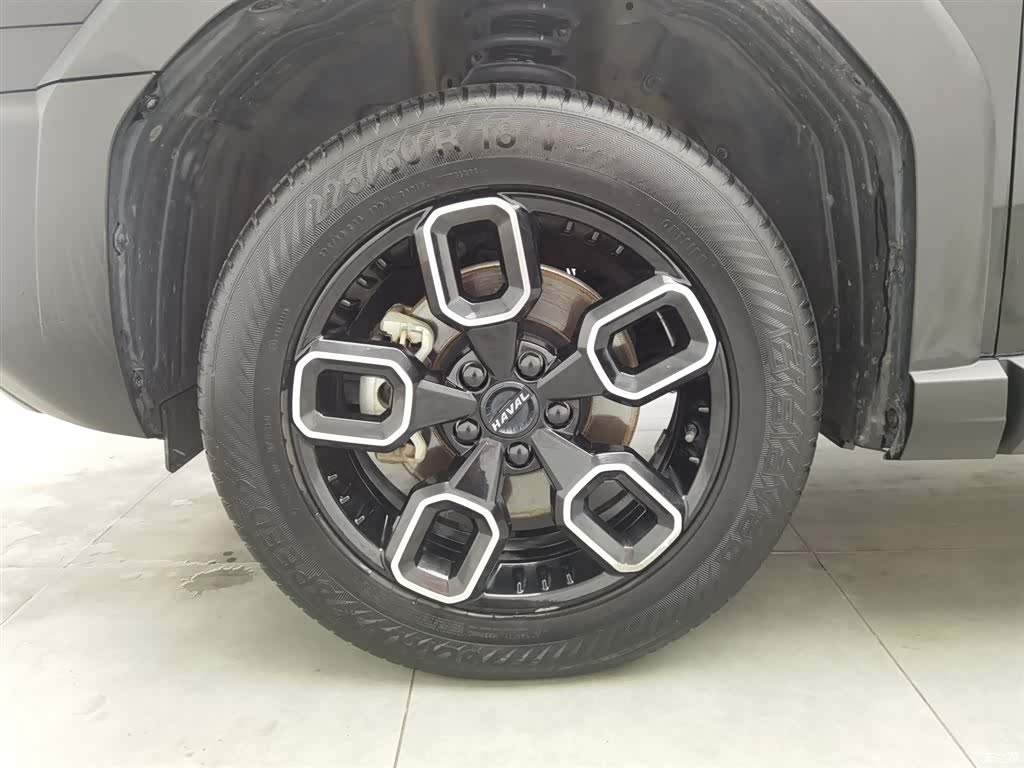 Haval Cool Dog, 2023 17
