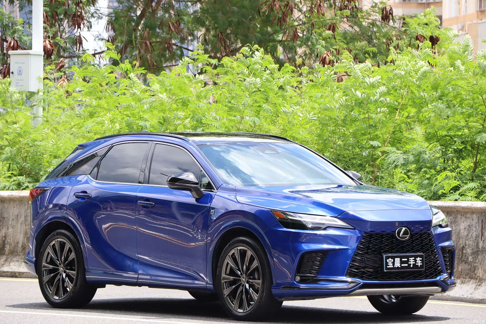 Lexus RX, 2023 3