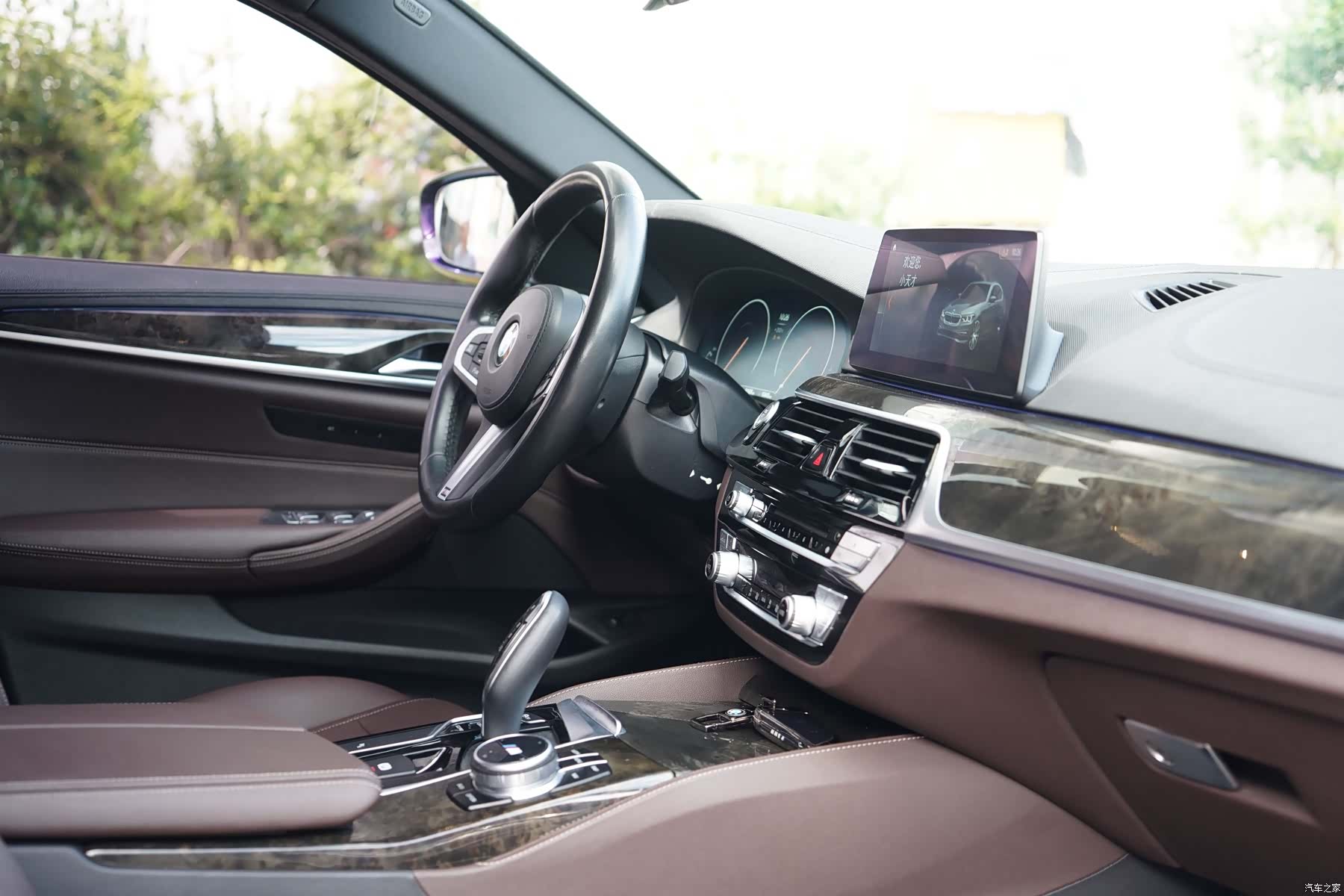BMW 5 Series, 2019 13