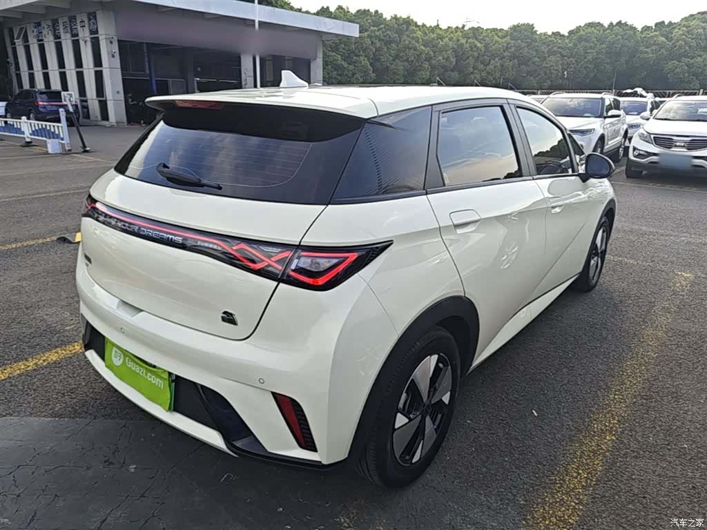 BYD Dolphin, 2024 7