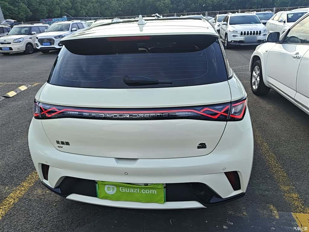 BYD Dolphin, 2024 6