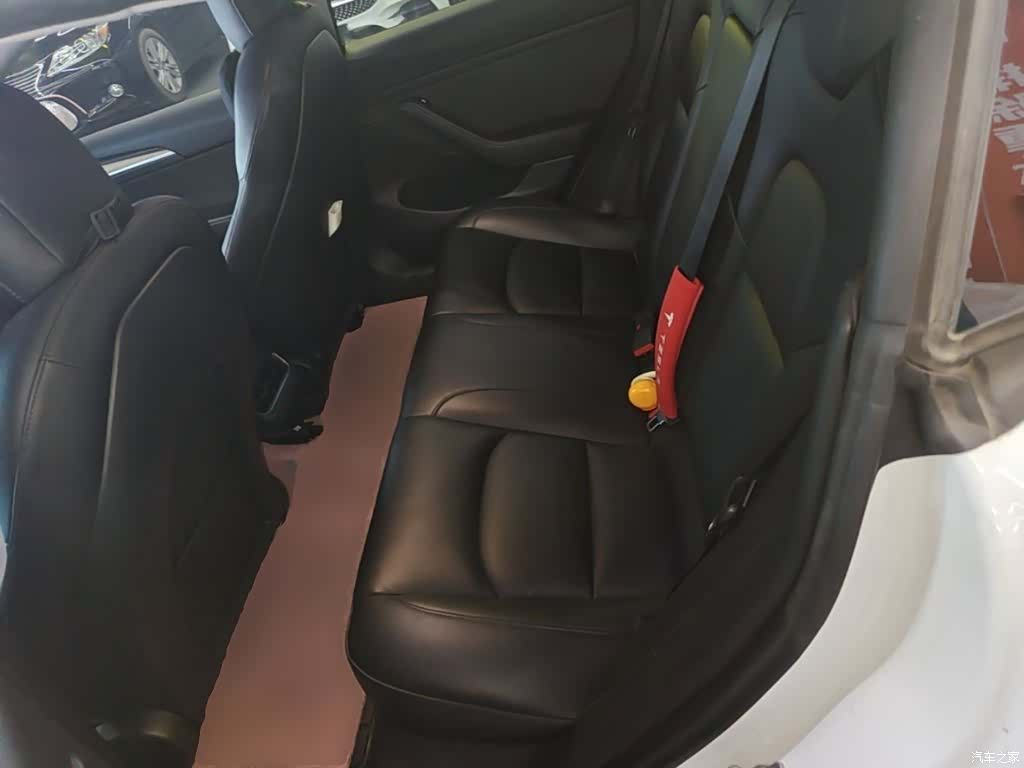Tesla Model 3, 2021 17