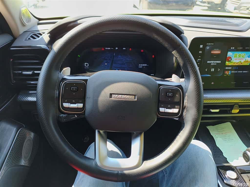 Haval Cool Dog, 2023 11
