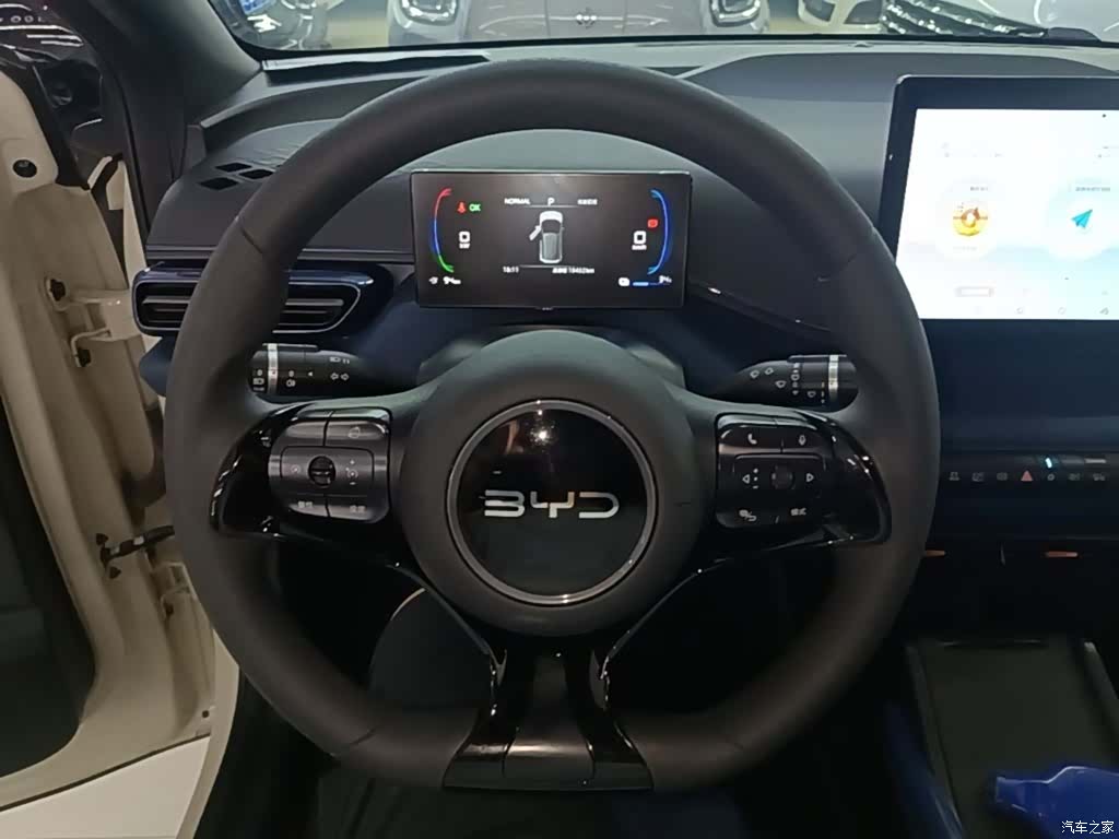BYD Seagull, 2024 11