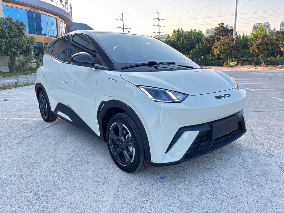 BYD Seagull