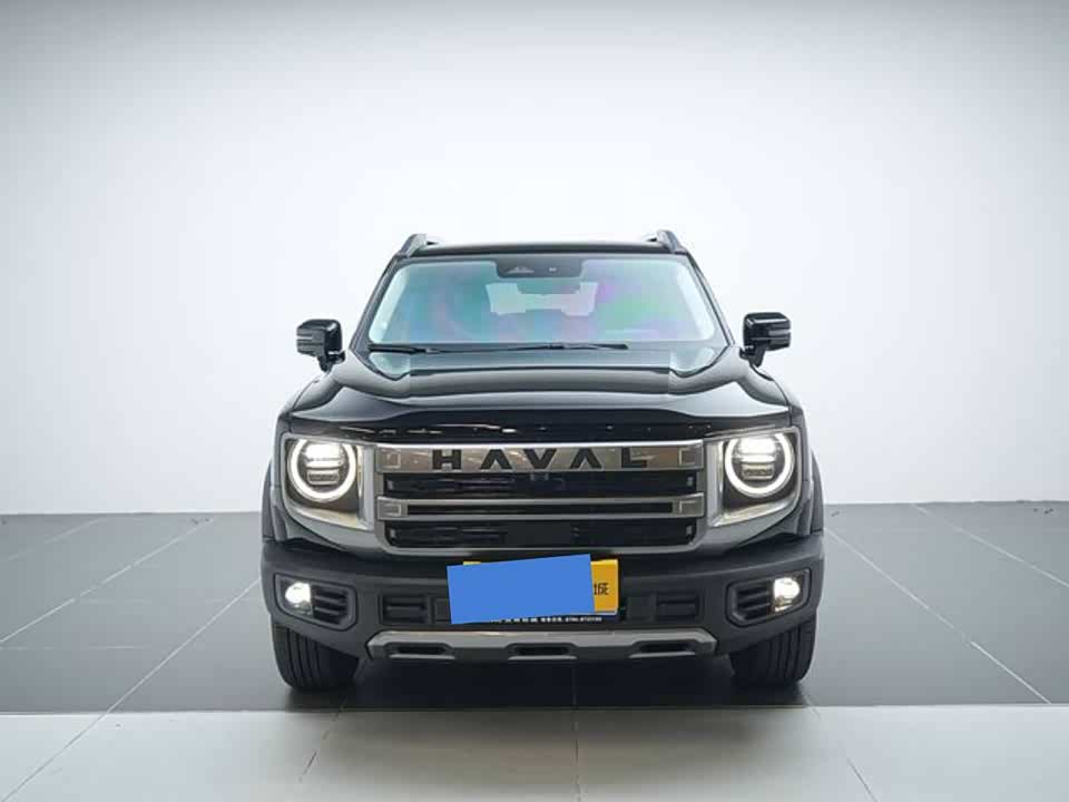 Haval Big dog