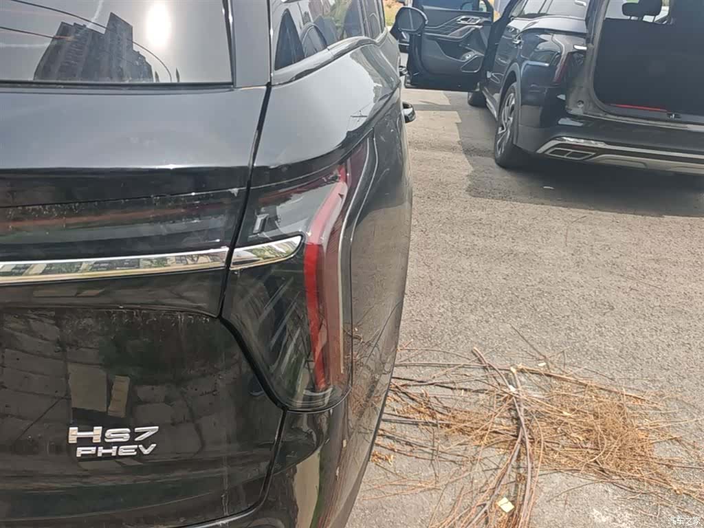 Hongqi HS7, 2024 8