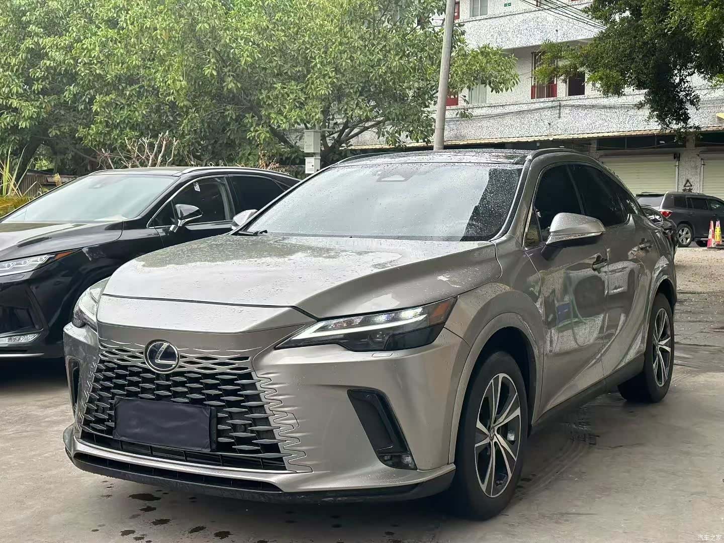 Lexus RX, 2023 1