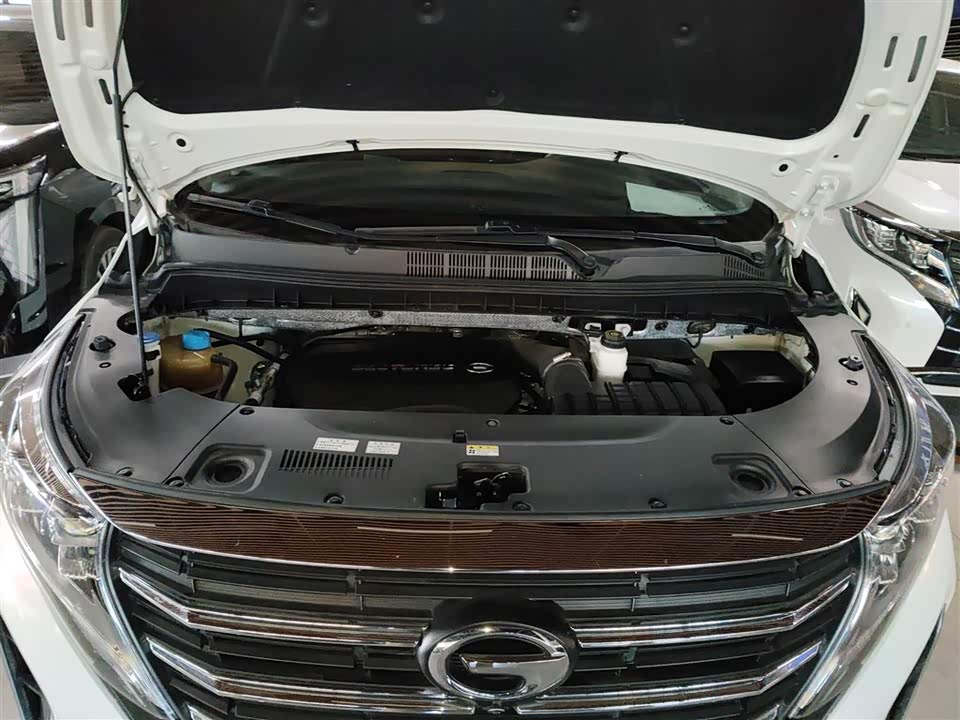 Trumpchi Trumpchi M8