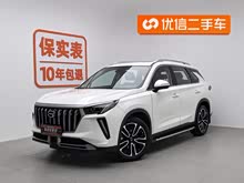 ����GS4 PLUS 2022�� 270T �Զ��ǺӰ�