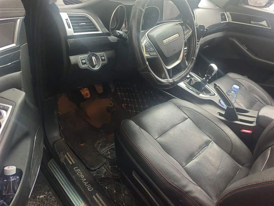 Leopaard Cheetah CS10