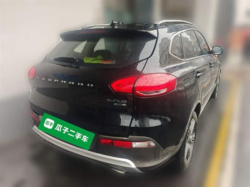 Leopaard Cheetah CS10