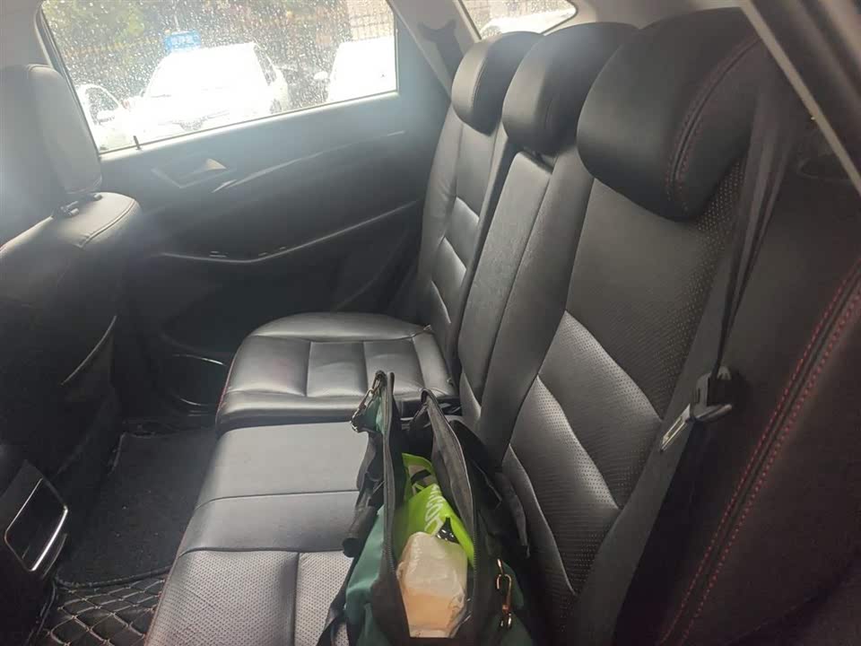 Leopaard Cheetah CS10