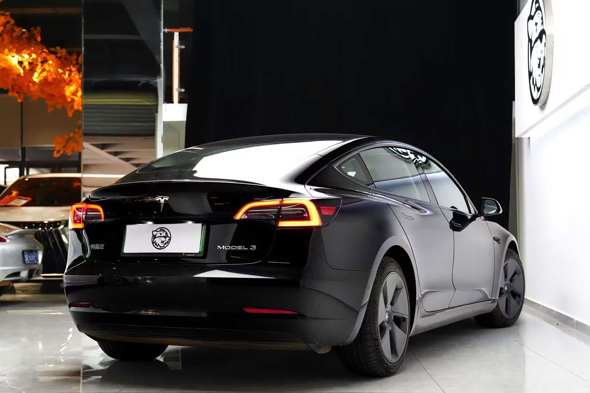 Tesla Model 3, 2023 7