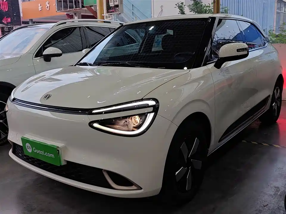 Dongfeng Nammi Nano 01