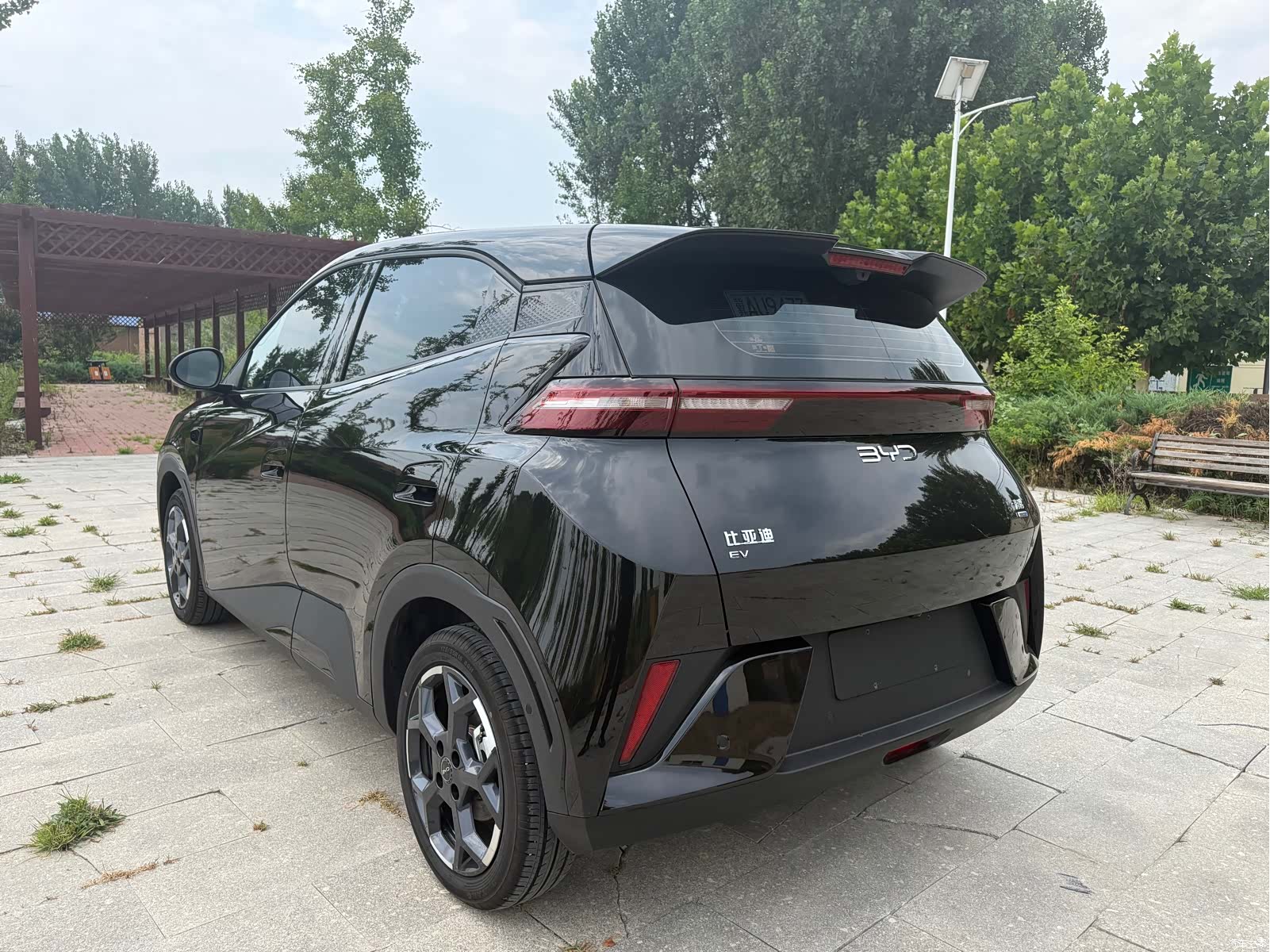 BYD Seagull, 2025 все фото