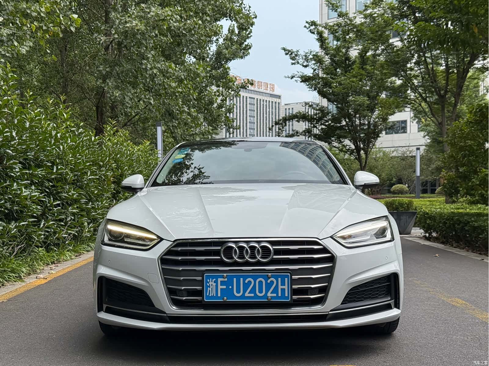 Audi A5, 2017 все фото