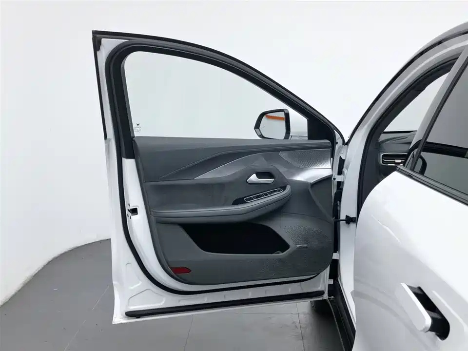 ARCFOX Polar Fox Alpha S