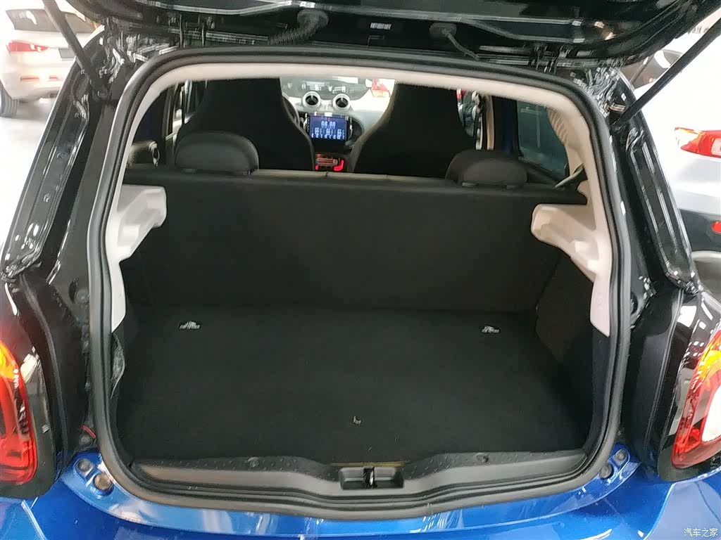 Smart Forfour, 2018 15