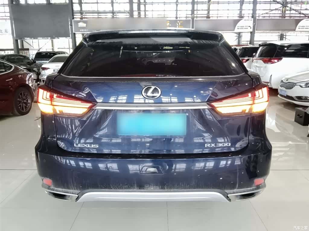 Lexus RX, 2021 6