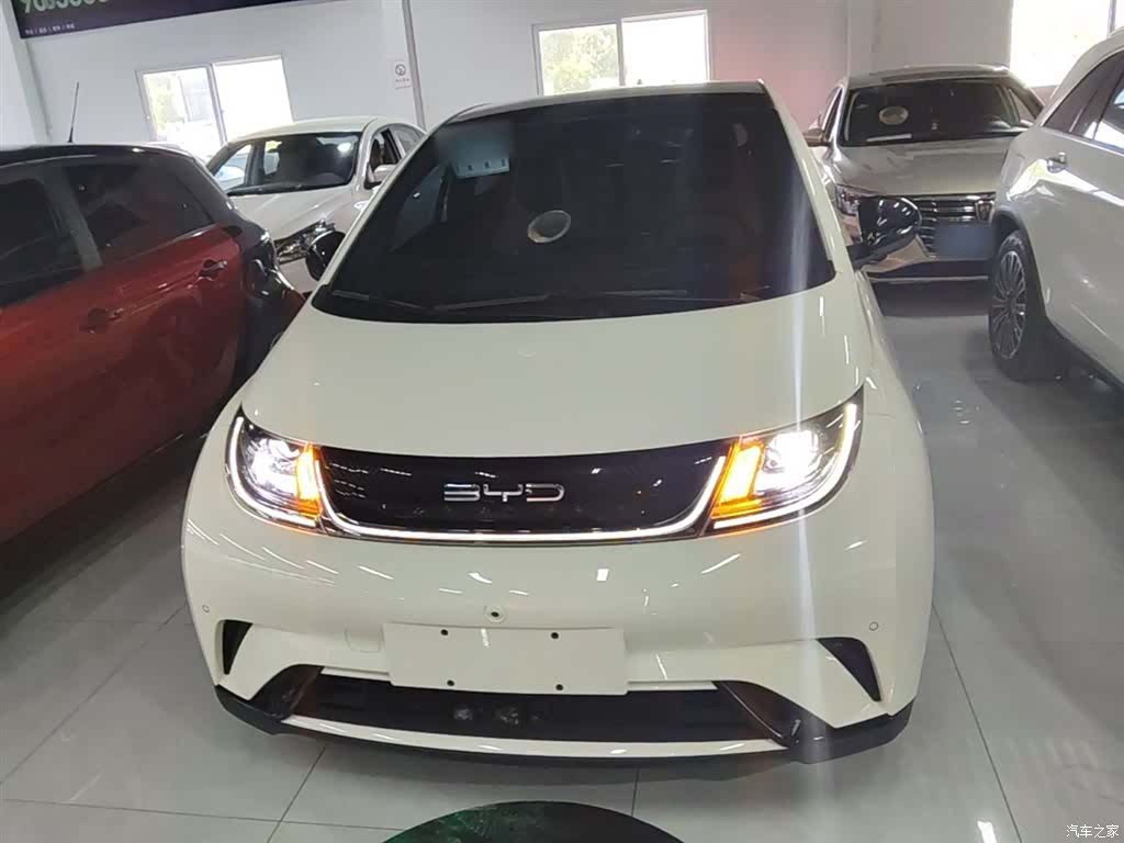BYD Dolphin, 2024 3