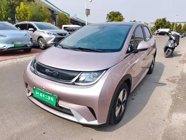 BYD Dolphin 2024 — купить из Китая под заказ