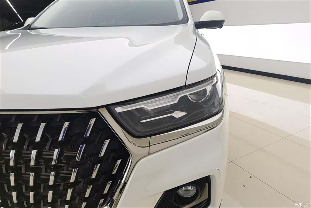 Haval H6, 2022 все фото