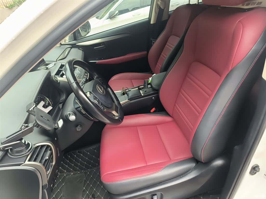 Lexus NX, 2020 11