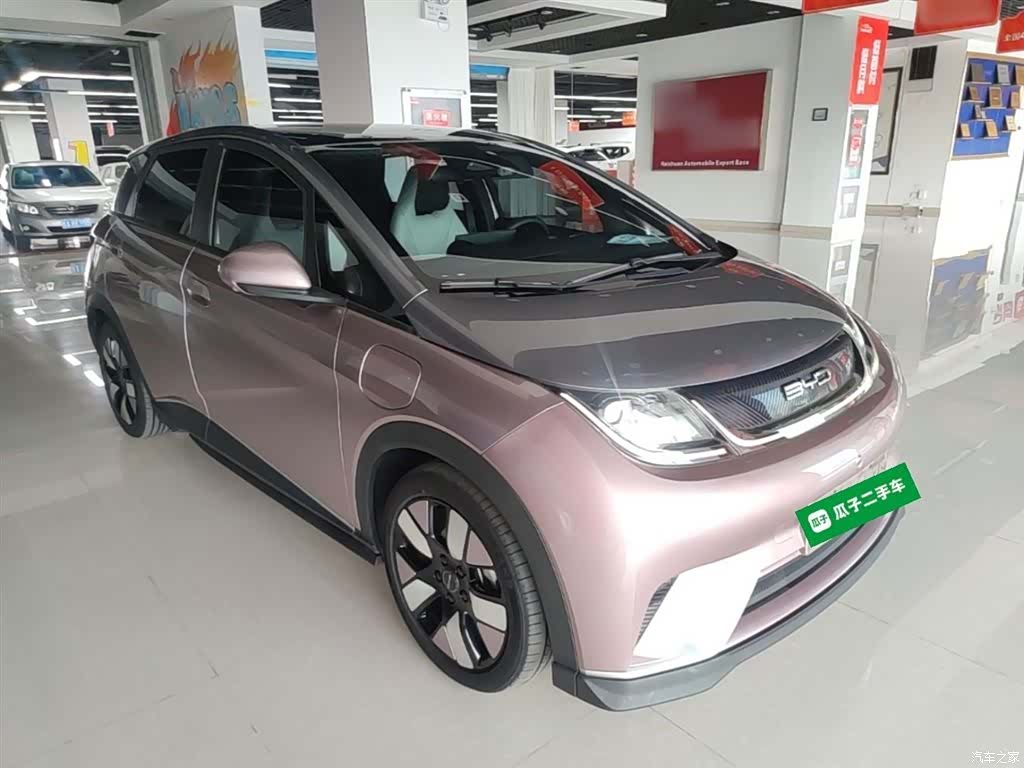 BYD Dolphin, 2021 4