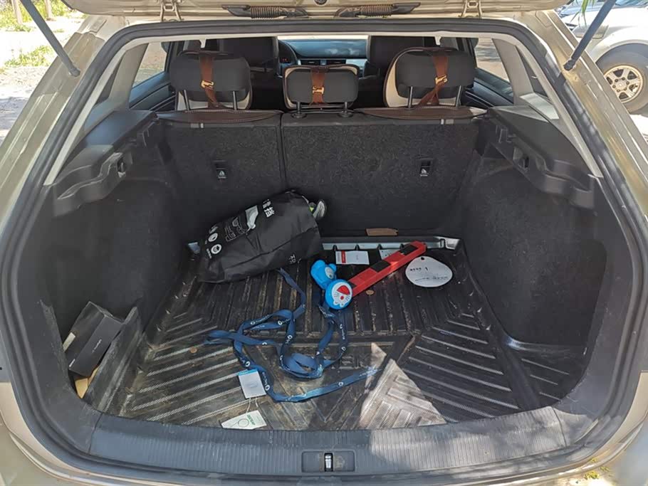 Volkswagen C-TREK Wei Collar