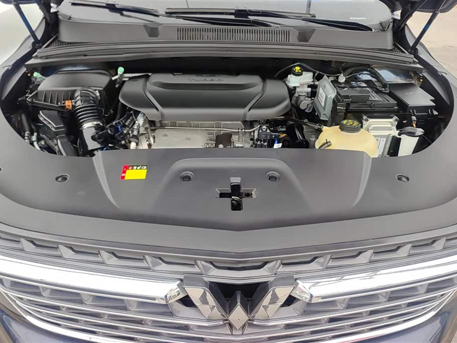 Wuling Wuling Capgemini