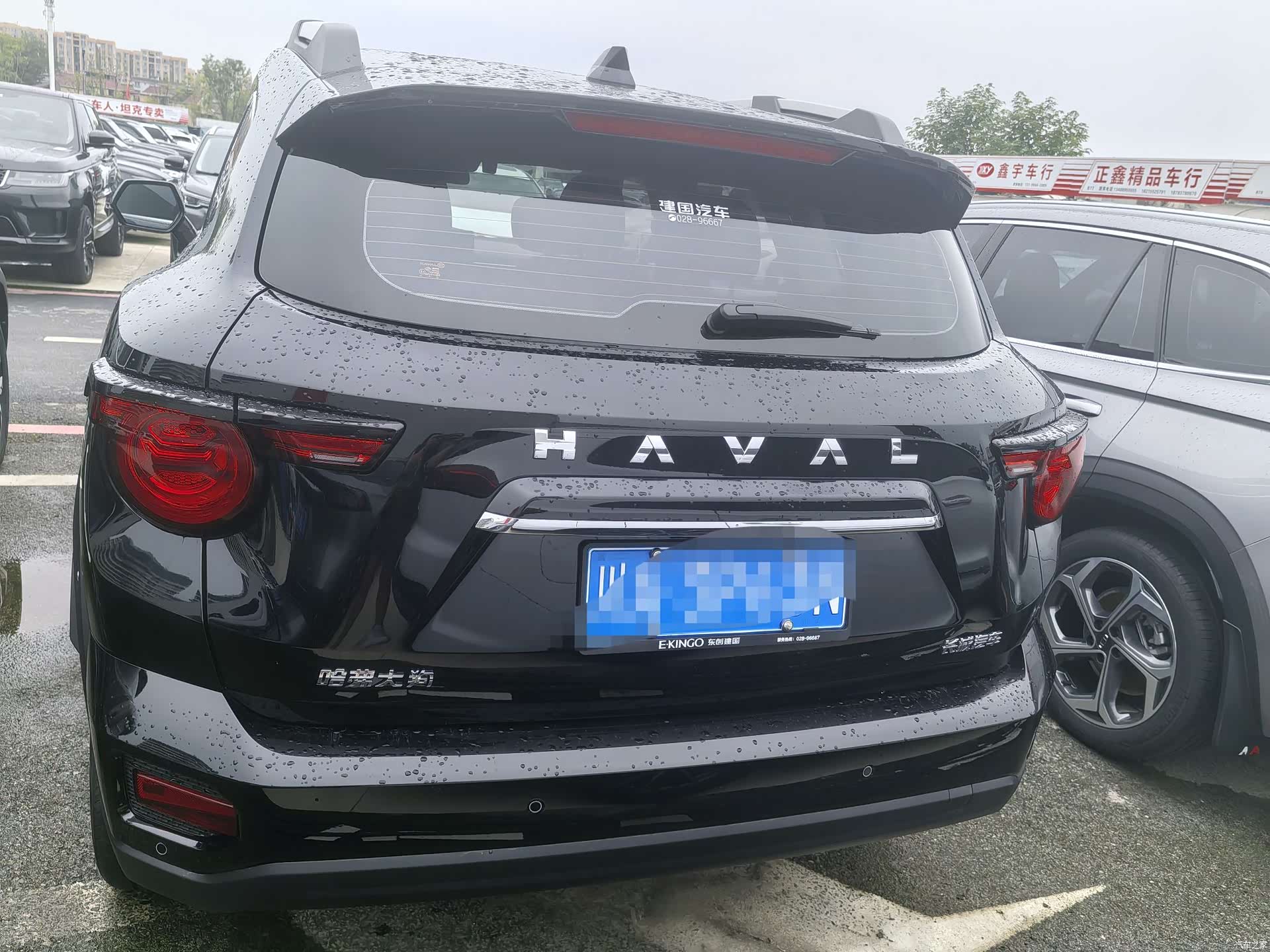 Haval Big Dog, 2025 15