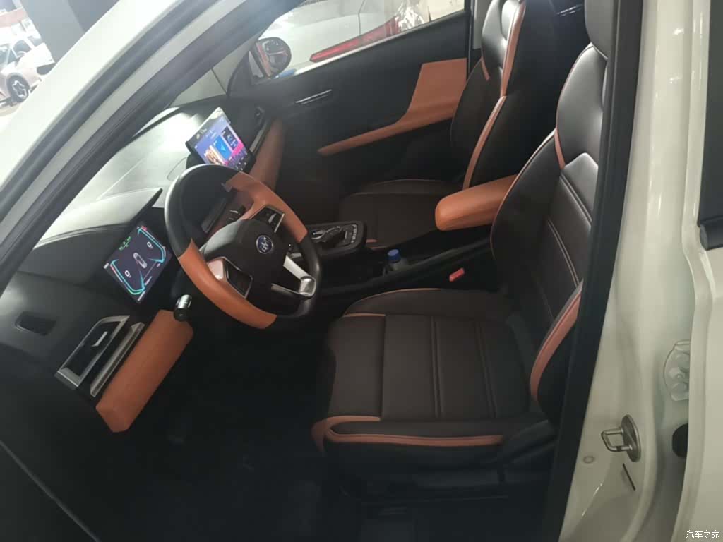BYD E2, 2021 15