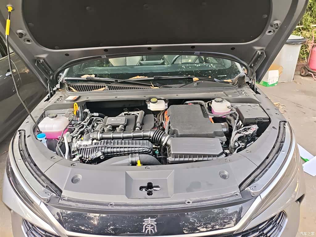 BYD Qin, 2024 20
