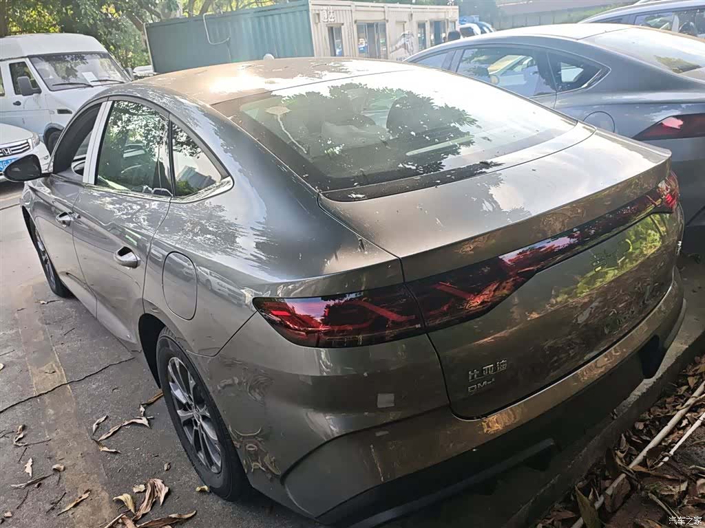 BYD Qin, 2024 все фото