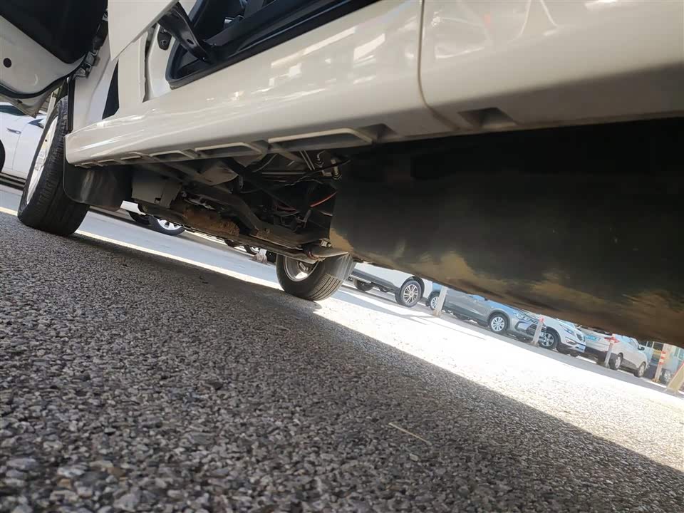 Jinbei Golden Sea Lion Classic