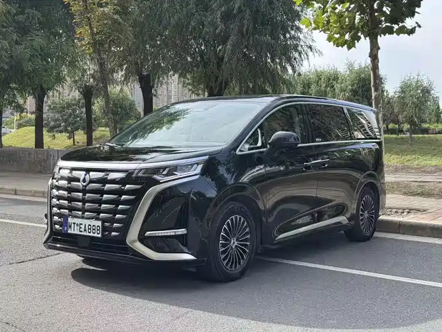 Denza D-9 2024 — купить из Китая под заказ