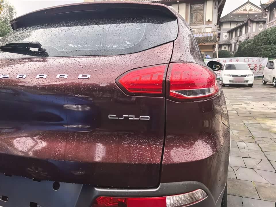 Leopaard Cheetah CS10