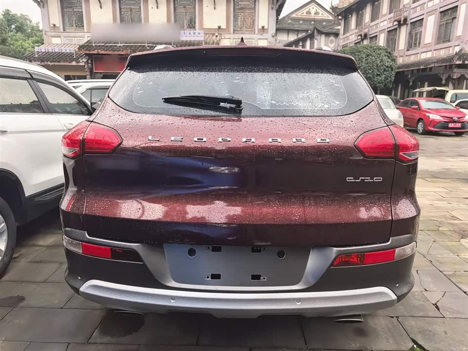 Leopaard Cheetah CS10