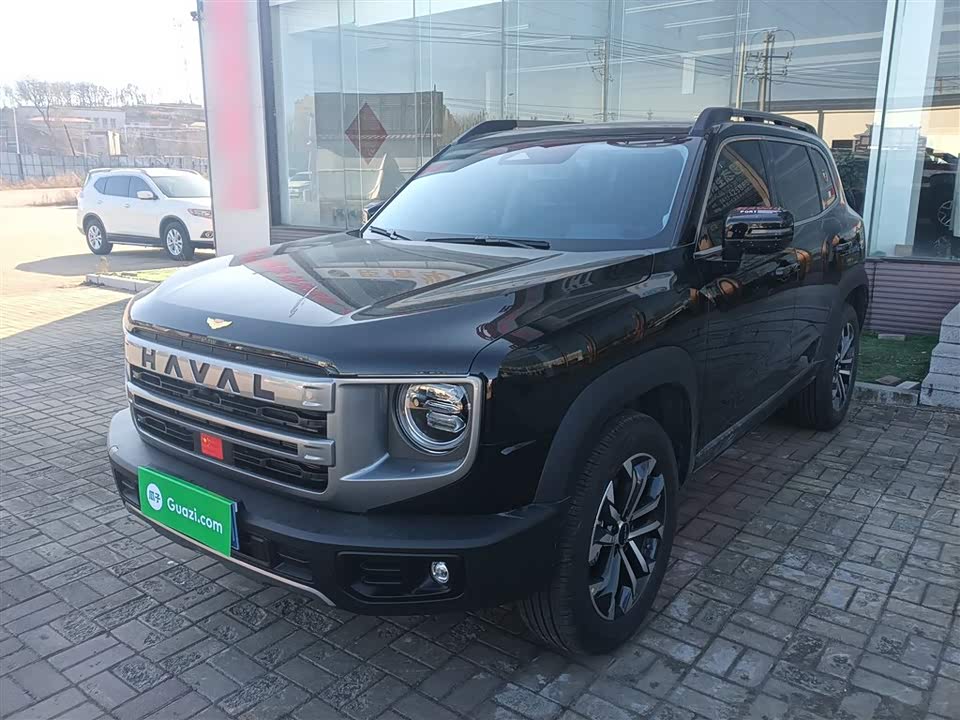 Haval Big dog