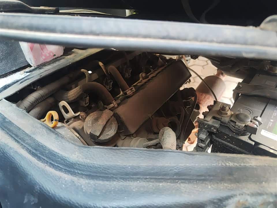 Jinbei Little Sea Lion X30