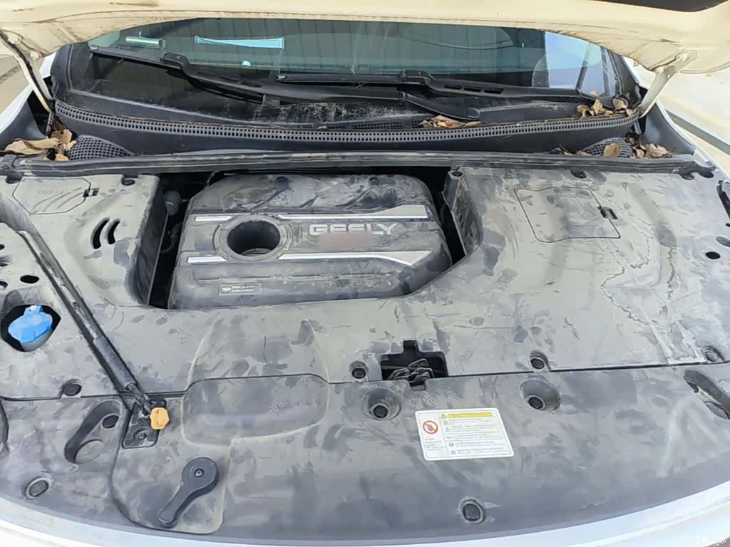 Geely Emgrand, 2019 20