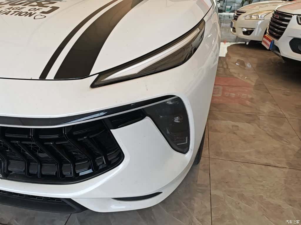 DongFeng T5, 2021 19